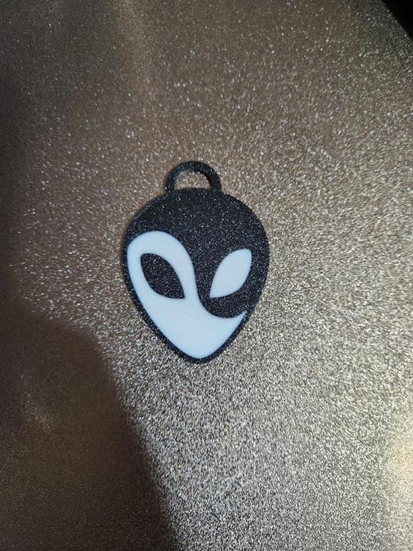 alien yin yang key chain