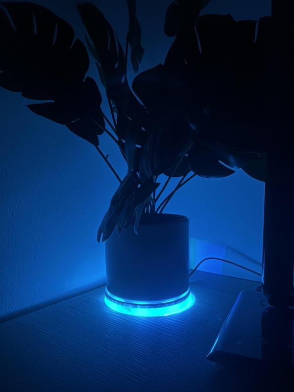 Light pod (LED planter stand)