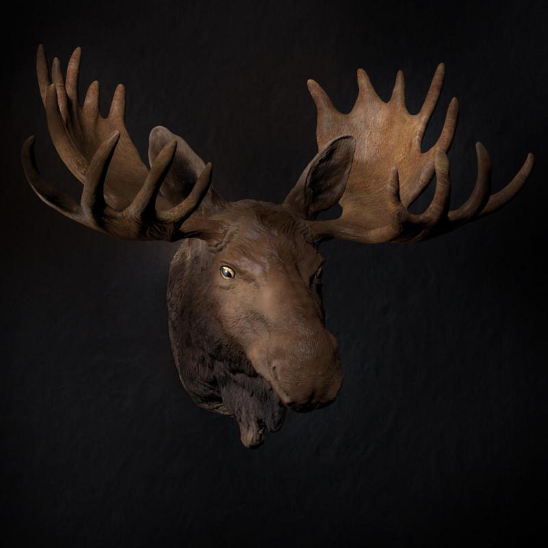 Moose Bull - Portrait 3D Print-Model