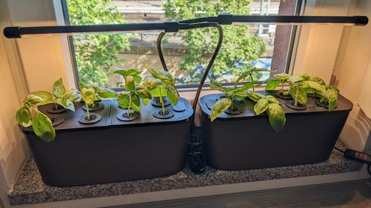 Kratky Cover - A hydroponic mod for Lechuza plant pods