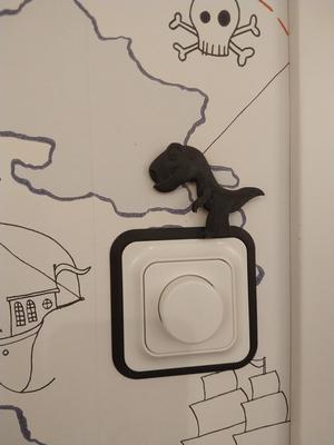 Trend switch frame_ make your own frame