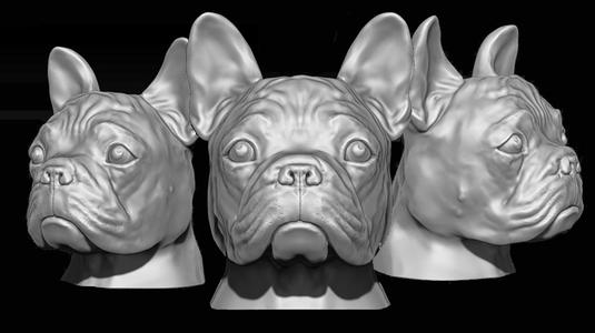 French Bulldog