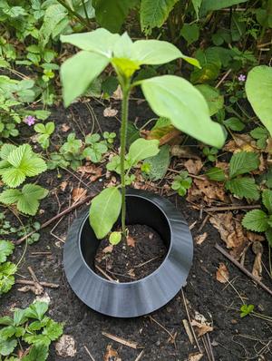 Schneckenkragen 2 -- Electric Boogaloo (Slug Collar)