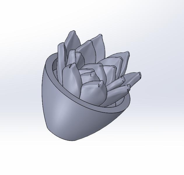 Succulent Fridge Magnet