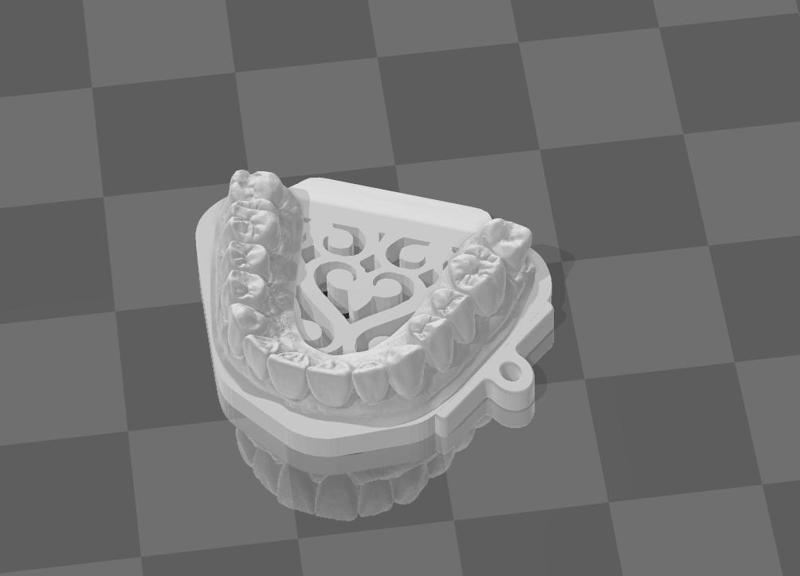 Chaveiro Maxila (Maxila Keychain)