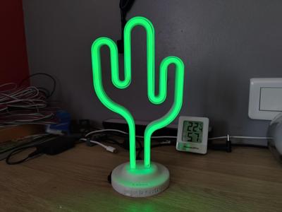 Cactus led neon