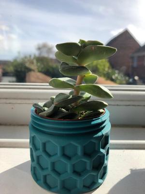 Pot Plant Holder/ Planter