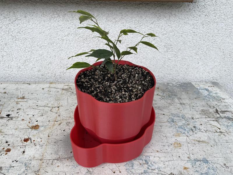 Planter