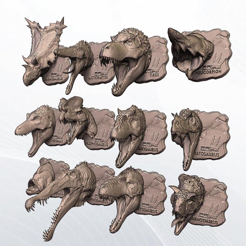 12 DINO HEADS