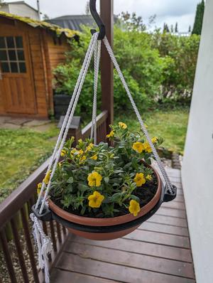 Blumentopf in Hängetopf verwandeln