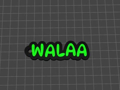 NAME : WALAA