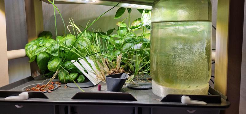 Bottle Holder for RAKO Hydroponics