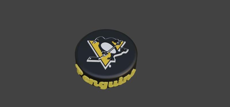 Pittsburg Penguins Hockey Puck
