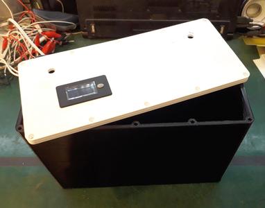 Leaf 12V battery box