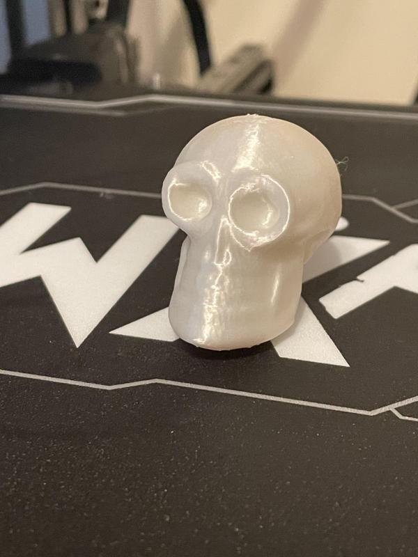 Small Skull