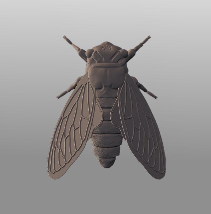 Cicada Sculpture