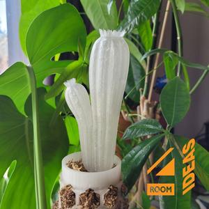 Moss Pole Watering Stake - Cactus 1