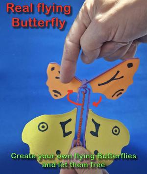 Real Flying Butterfly