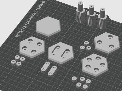 50mm hex base with 10mm slot magnet