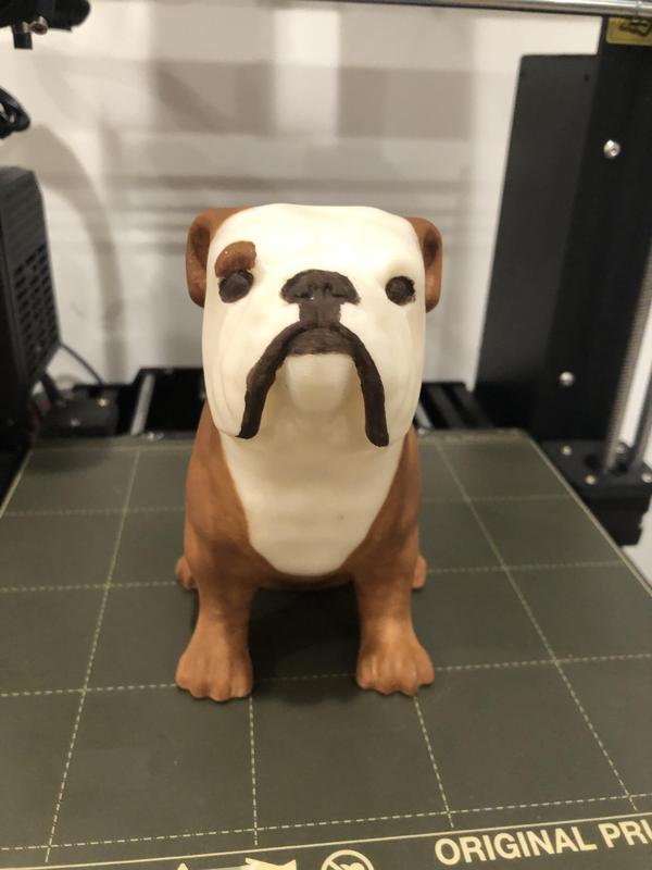 Sitting English Bulldog