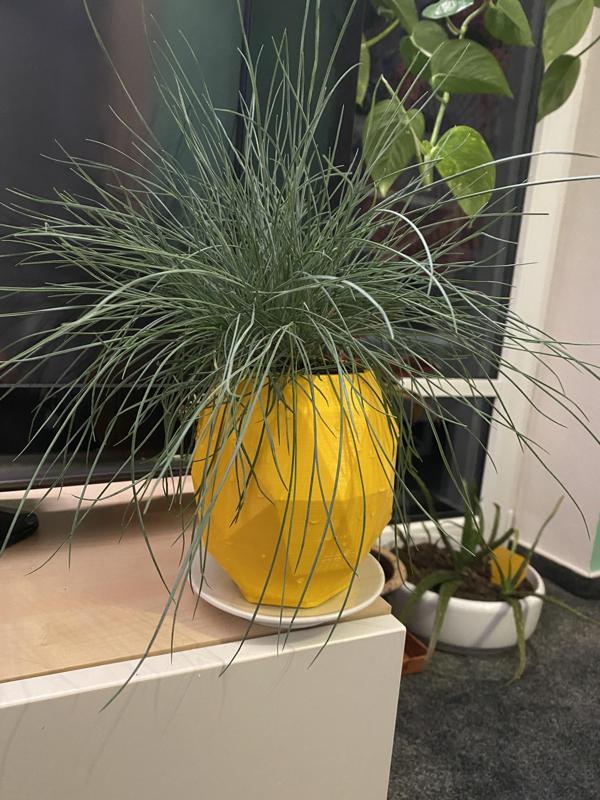 lowpoly pineapple planter with a hole