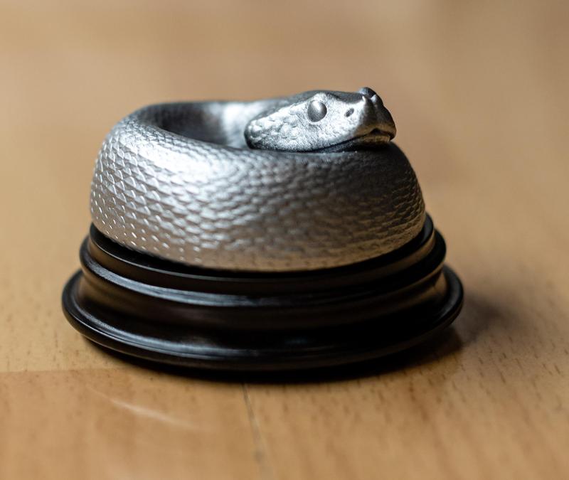 Gaboon Viper Hatchling