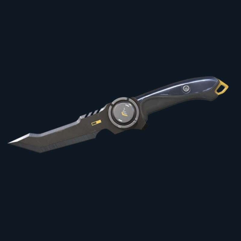 valorant task Force 809 knife