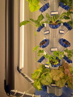 Modular Hydroponics Tower w/ Grow Lights