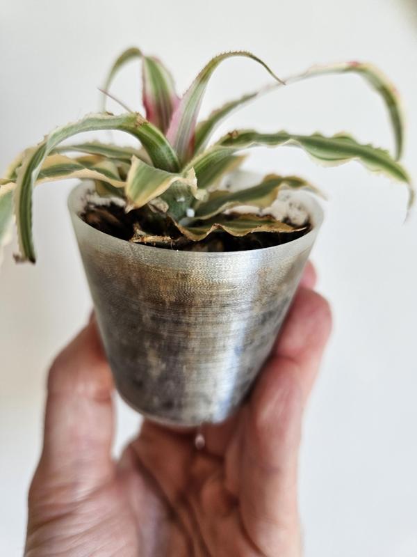 Small pot with holes