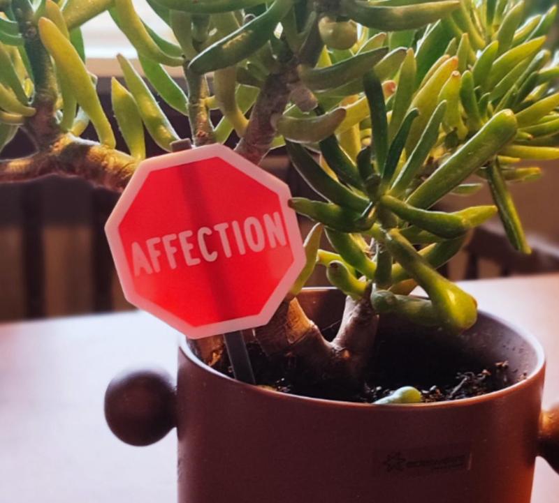 Sign of Affection - Decorative Pun for Valentines!