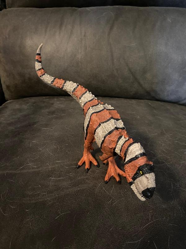 Albertosaurus Dinosaur