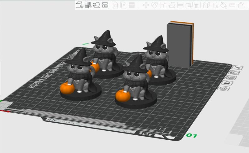 ANIMAL SERIES - MAINE COON CAT