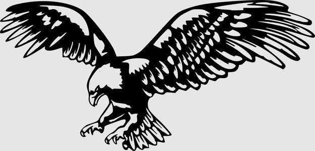 Flying eagle