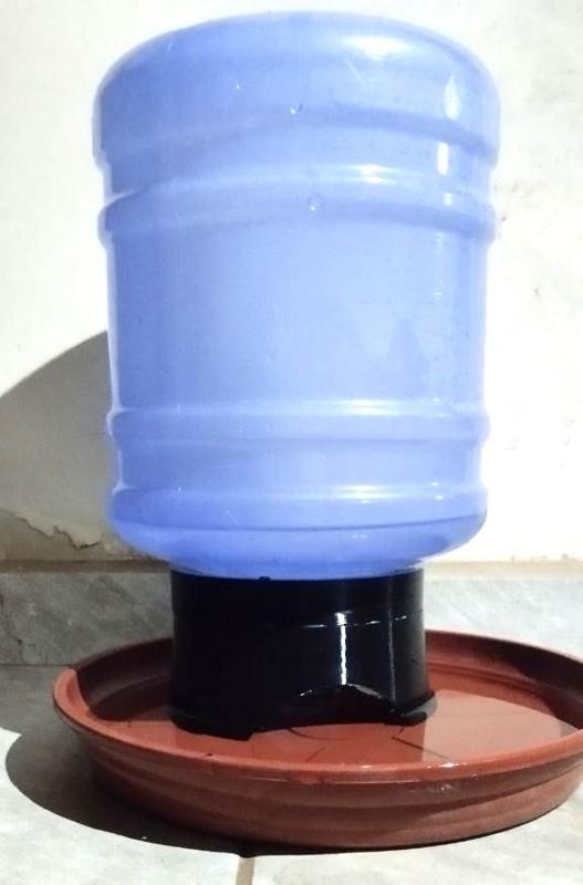 LOW COST ANIMAL DRINKING FOUNTAIN