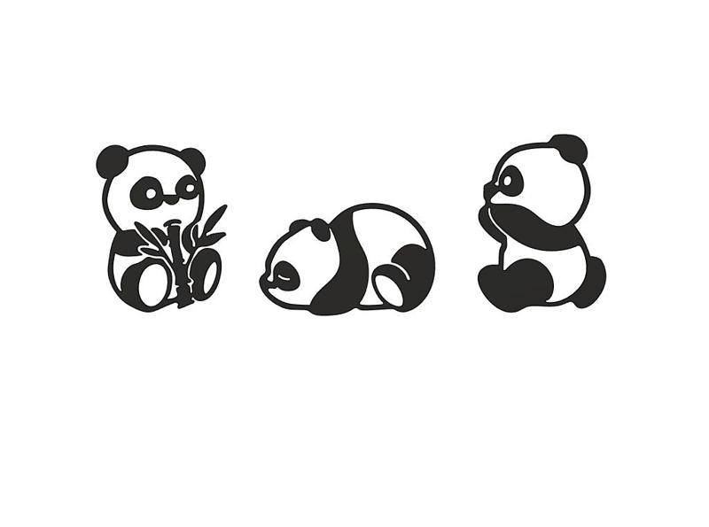 Panda Bears