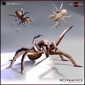 Giant Wolf Spider 01