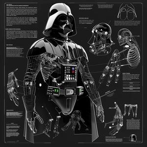 Darth Vader Anatomy (B&W)