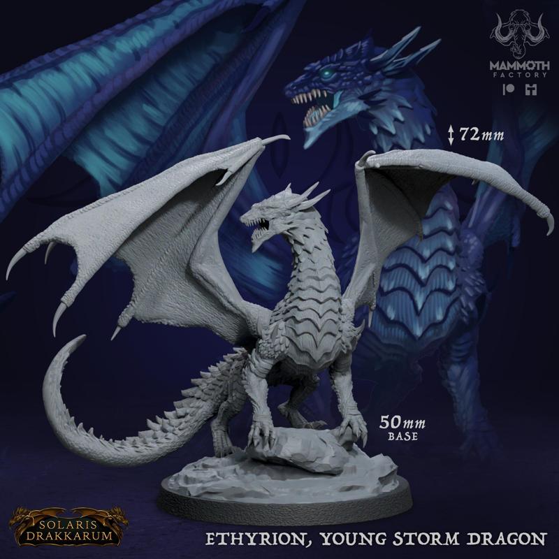 Ethyrion, Young Storm Dragon