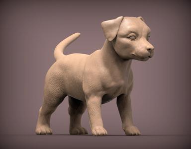Jack russell puppy 3D print model