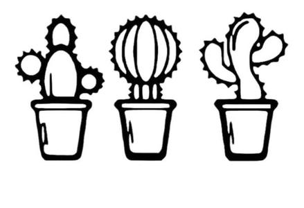 Cactus decor   