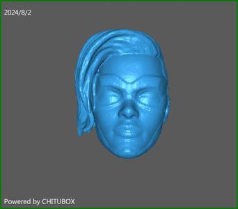 Doctor Minerva Marvel Legends Style Head