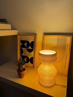 Spring Desk Lamp