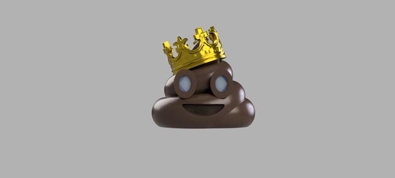 The Poop King