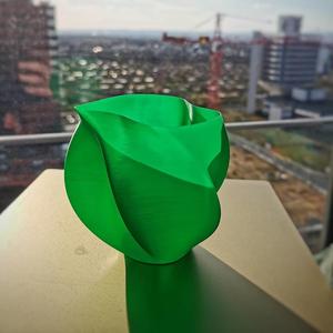 Curved Vase