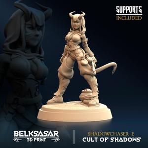 Shadowchaser E