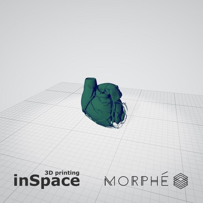 Medical - Heart (planes) - Real size