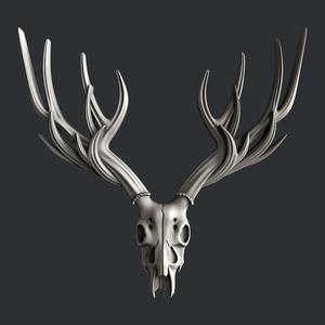 skull deer