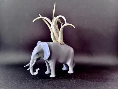 Elephant Airplant Pot/Planter   