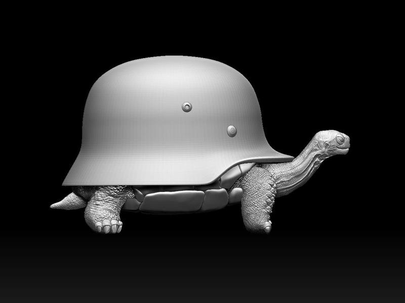 turtle helmet