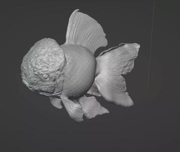 oranda fish stl